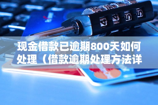 现金借款已逾期800天如何处理（借款逾期处理方法详解）