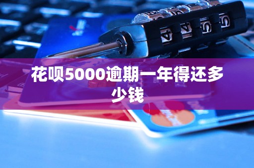 花呗5000逾期一年得还多少钱