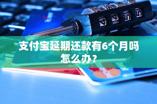 支付宝延期还款有6个月吗怎么办？