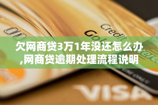 欠网商贷3万1年没还怎么办,网商贷逾期处理流程说明