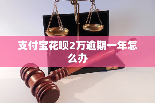 支付宝花呗2万逾期一年怎么办