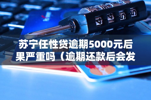 苏宁任性贷逾期5000元后果严重吗（逾期还款后会发生什么）