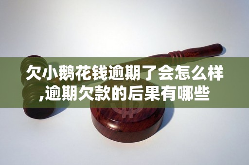 欠小鹅花钱逾期了会怎么样,逾期欠款的后果有哪些