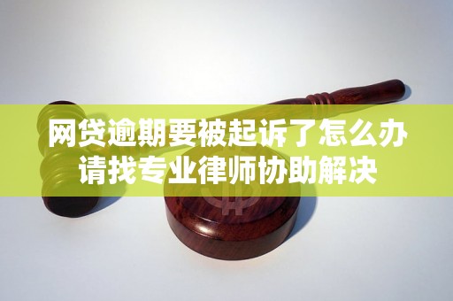 网贷逾期要被起诉了怎么办请找专业律师协助解决