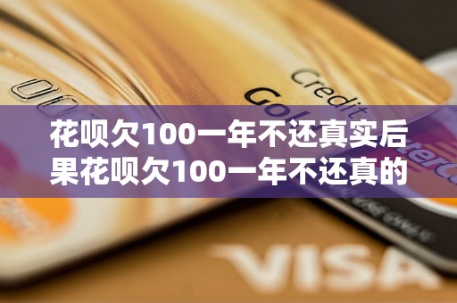 花呗欠100一年不还真实后果花呗欠100一年不还真的会有什么后果吗