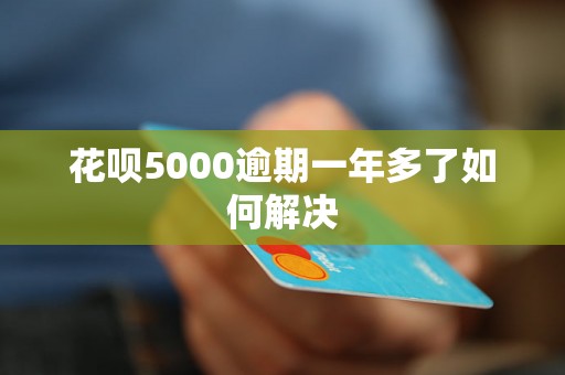 花呗5000逾期一年多了如何解决