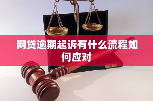 网贷逾期起诉有什么流程如何应对