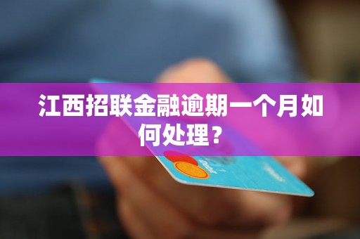 江西招联金融逾期一个月如何处理？