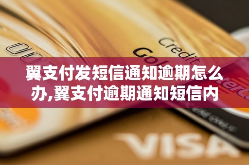 翼支付发短信通知逾期怎么办,翼支付逾期通知短信内容解读