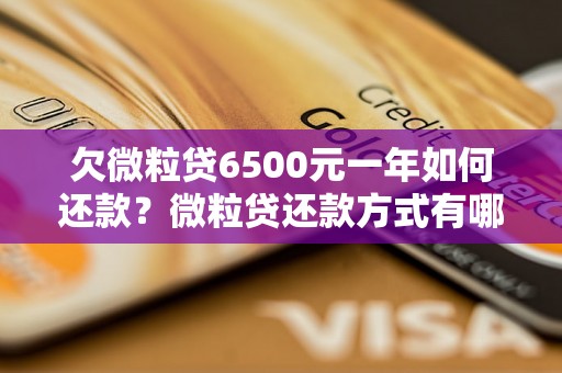 欠微粒贷6500元一年如何还款？微粒贷还款方式有哪些？