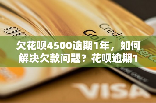 欠花呗4500逾期1年，如何解决欠款问题？花呗逾期1年后的处理方法