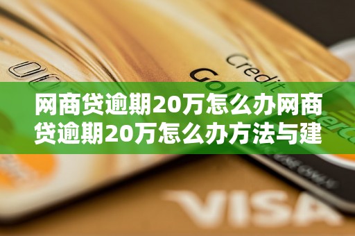 网商贷逾期20万怎么办网商贷逾期20万怎么办方法与建议