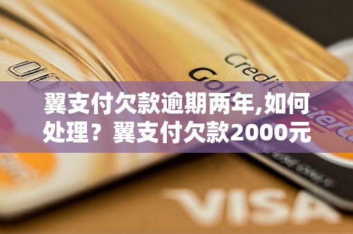 翼支付欠款逾期两年,如何处理？翼支付欠款2000元逾期详情解析