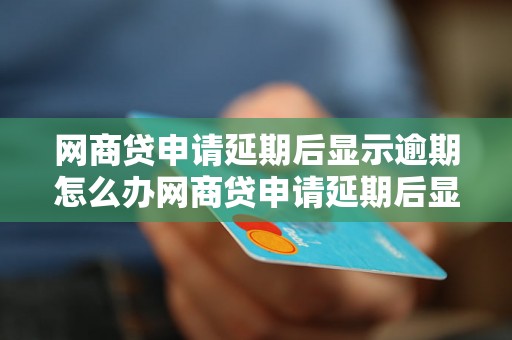 网商贷申请延期后显示逾期怎么办网商贷申请延期后显示逾期怎么办