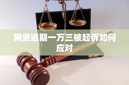 网贷逾期一万三被起诉如何应对