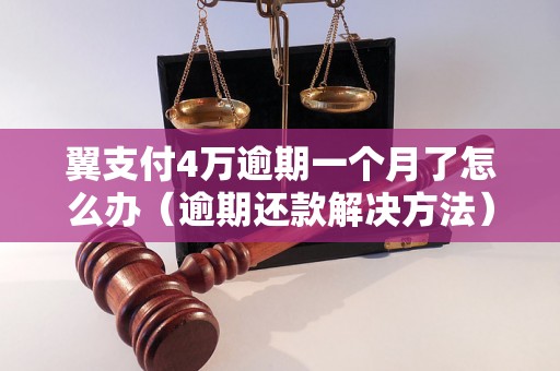 翼支付4万逾期一个月了怎么办（逾期还款解决方法）