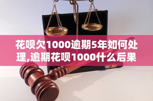 花呗欠1000逾期5年如何处理,逾期花呗1000什么后果