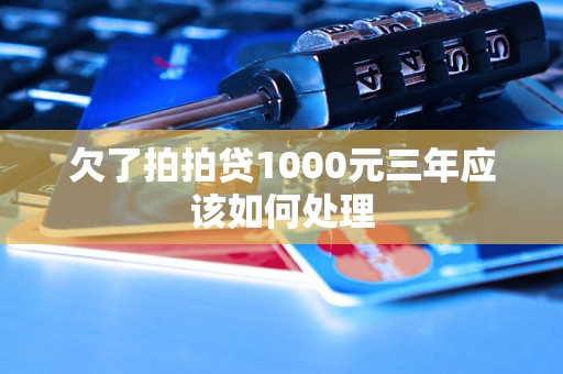 欠了拍拍贷1000元三年应该如何处理