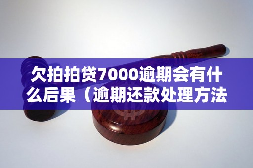 欠拍拍贷7000逾期会有什么后果（逾期还款处理方法与注意事项）