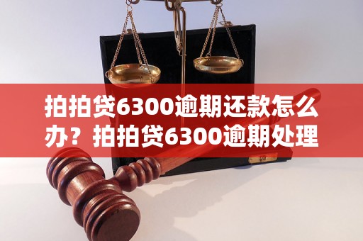 拍拍贷6300逾期还款怎么办？拍拍贷6300逾期处理方法解析