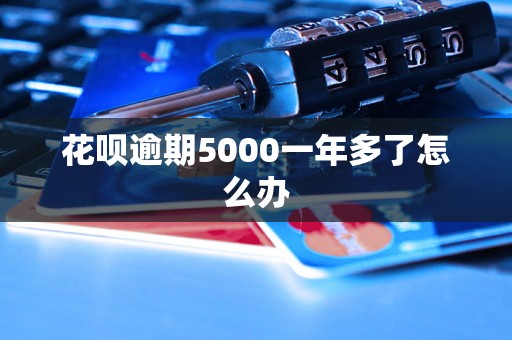 花呗逾期5000一年多了怎么办