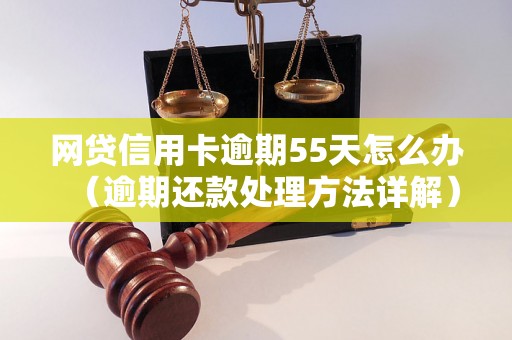 网贷信用卡逾期55天怎么办（逾期还款处理方法详解）