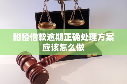 甜橙借款逾期正确处理方案应该怎么做