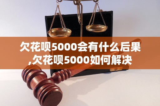 欠花呗5000会有什么后果,欠花呗5000如何解决