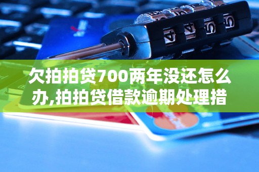 欠拍拍贷700两年没还怎么办,拍拍贷借款逾期处理措施