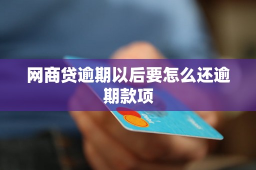 网商贷逾期以后要怎么还逾期款项