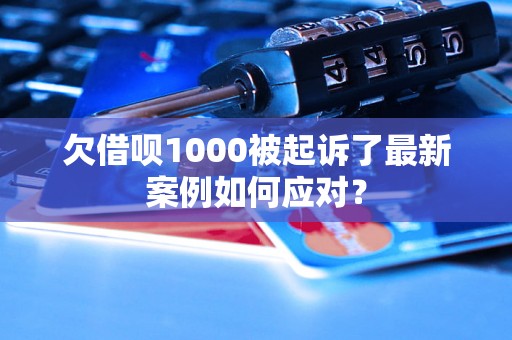 欠借呗1000被起诉了最新案例如何应对？