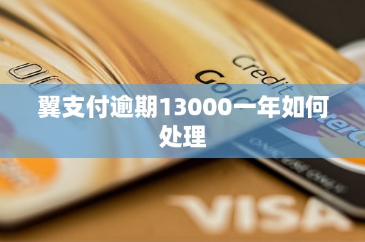 翼支付逾期13000一年如何处理