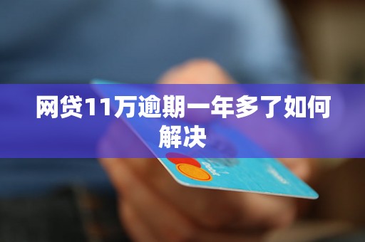 网贷11万逾期一年多了如何解决