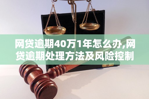 网贷逾期40万1年怎么办,网贷逾期处理方法及风险控制措施