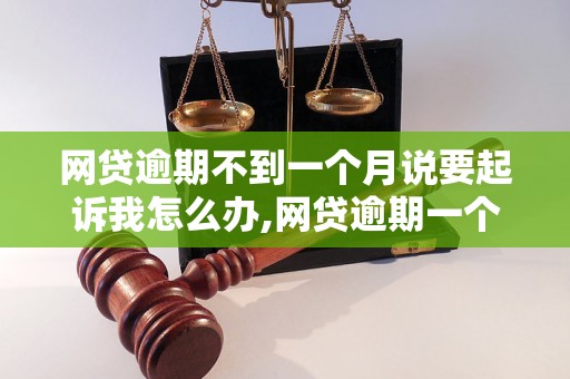 网贷逾期不到一个月说要起诉我怎么办,网贷逾期一个月内会被起诉吗