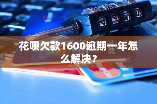 花呗欠款1600逾期一年怎么解决？