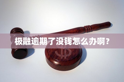 极融逾期了没钱怎么办啊？