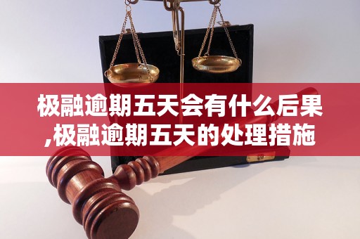 极融逾期五天会有什么后果,极融逾期五天的处理措施是什么