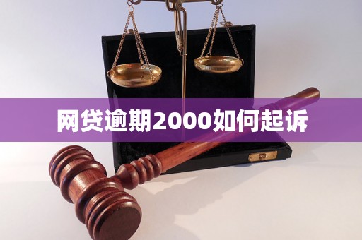 网贷逾期2000如何起诉