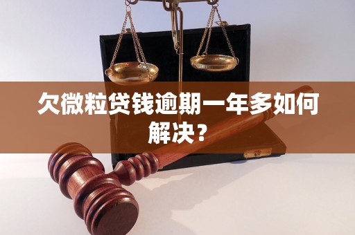 欠微粒贷钱逾期一年多如何解决？