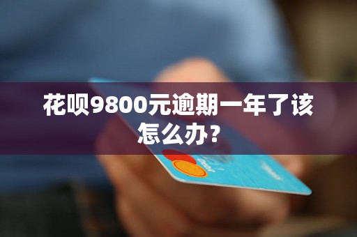 花呗9800元逾期一年了该怎么办？