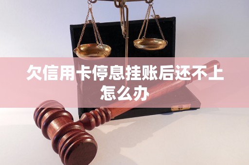 欠信用卡停息挂账后还不上怎么办