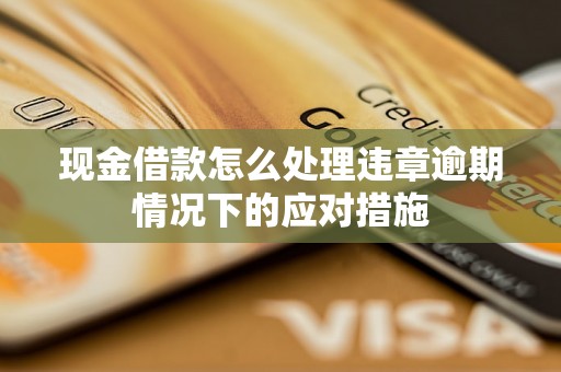 现金借款怎么处理违章逾期情况下的应对措施