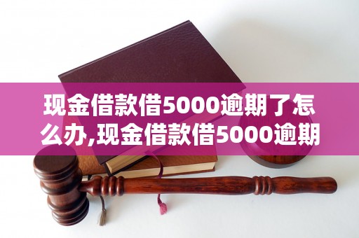 现金借款借5000逾期了怎么办,现金借款借5000逾期罚息及处理方式