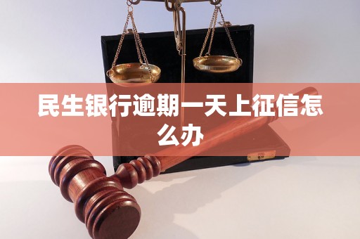 民生银行逾期一天上征信怎么办