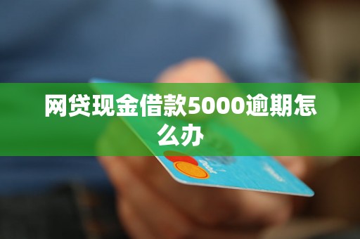 网贷现金借款5000逾期怎么办