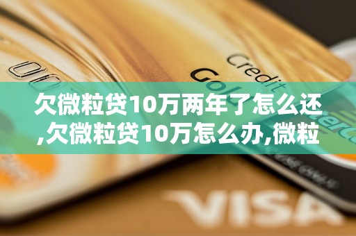 欠微粒贷10万两年了怎么还,欠微粒贷10万怎么办,微粒贷10万借款到期怎么还款