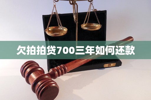 欠拍拍贷700三年如何还款