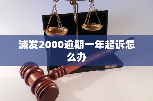 浦发2000逾期一年起诉怎么办