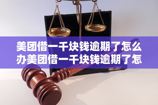 美团借一千块钱逾期了怎么办美团借一千块钱逾期了怎么解决